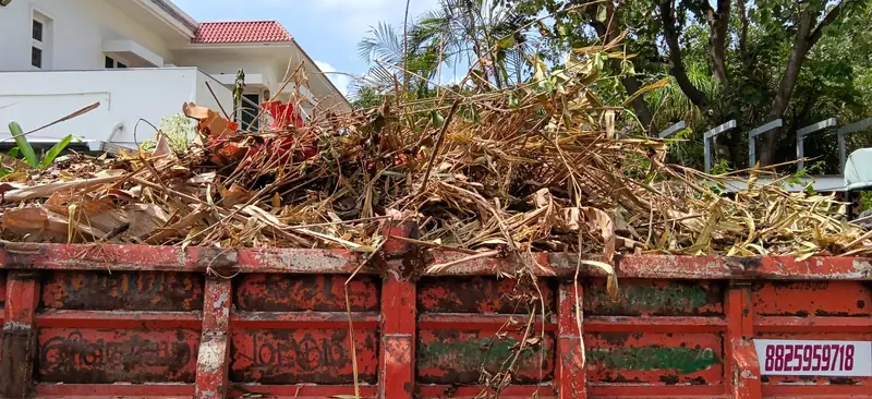 Tractor trailer loaded with dry leaves and branches in Coimbatore
